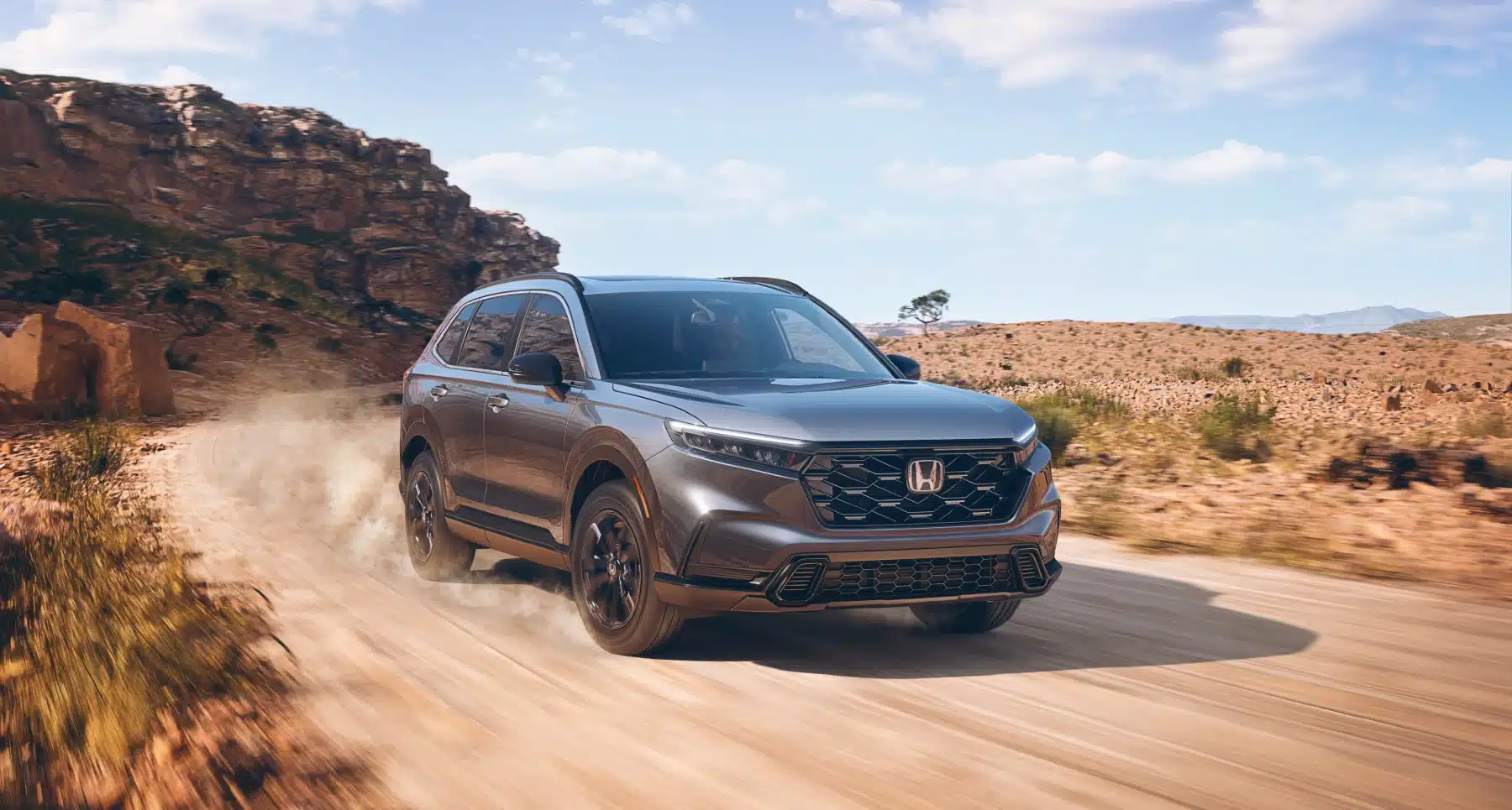 Why are hybrids so popular?