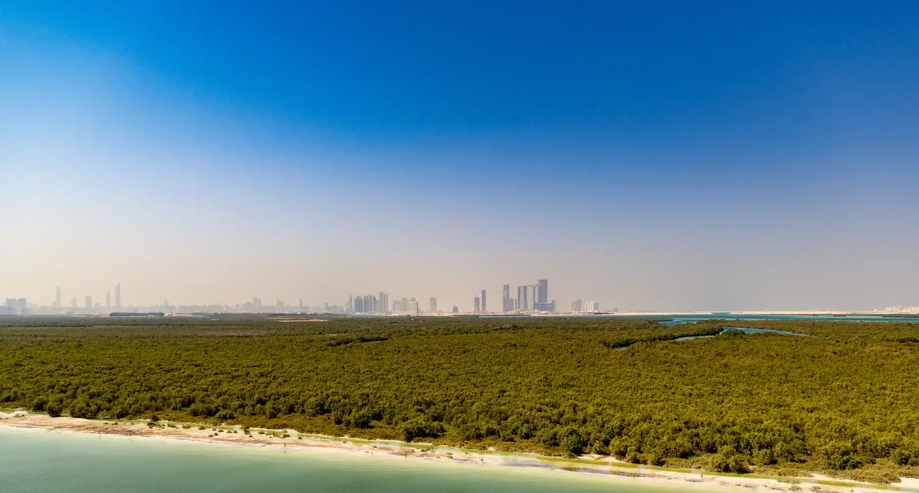 850,000 mangrove trees planted in Abu Dhabi